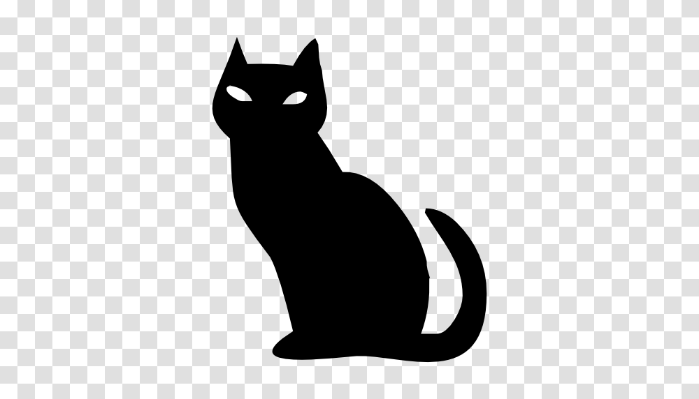Halloween Scary Cat Desktop Backgrounds, Pet, Mammal, Animal, Black Cat Transparent Png