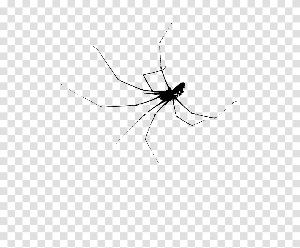 Halloween Scary Spider Tangle Web Spider, Gray, World Of Warcraft Transparent Png