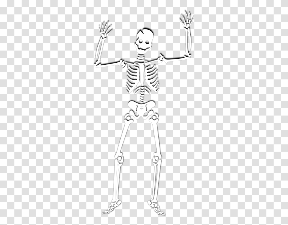 Halloween Skeleton, Bow, Person, Human Transparent Png
