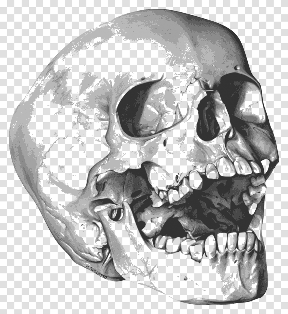 Halloween Skeleton, Person, Human, Skin, Painting Transparent Png