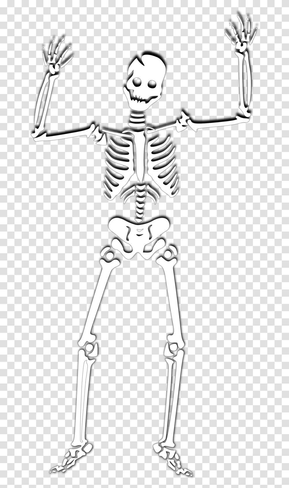 Halloween Skeleton Photos Skeleton Cartoon Background, Bow Transparent Png