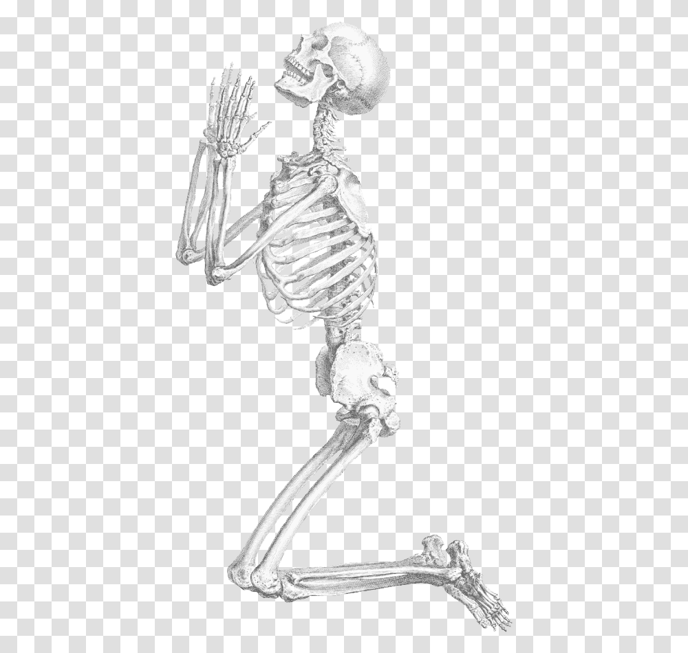 Halloween Skeleton Praying Skeleton, Bird, Animal Transparent Png