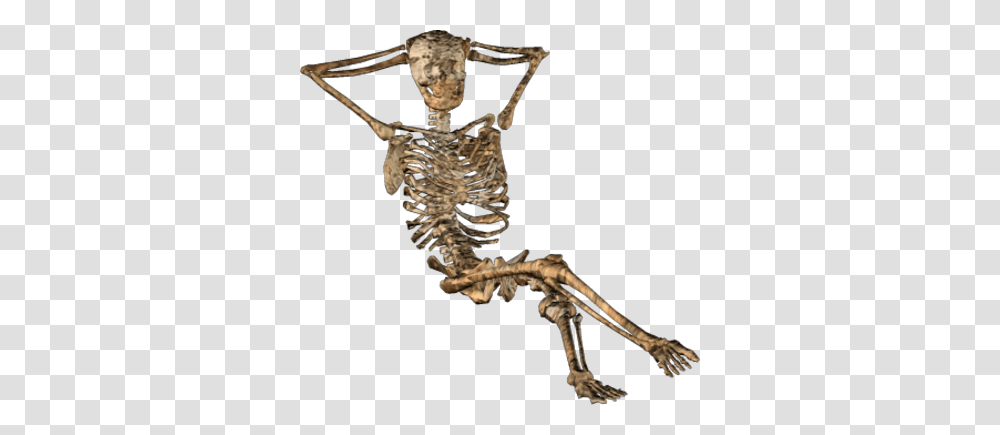 Halloween Skeleton Transparent Png