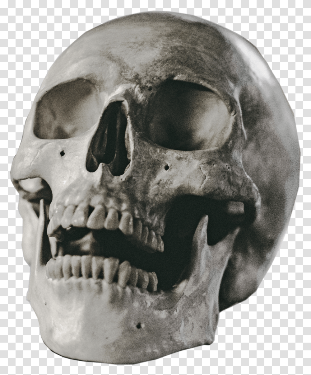 Halloween Skull Background Image Background Skull, Jaw, Person, Human, Head Transparent Png