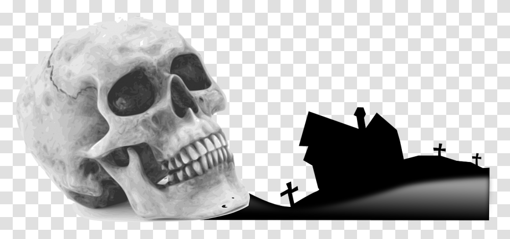 Halloween Skull, Jaw, X-Ray, Medical Imaging X-Ray Film, Ct Scan Transparent Png