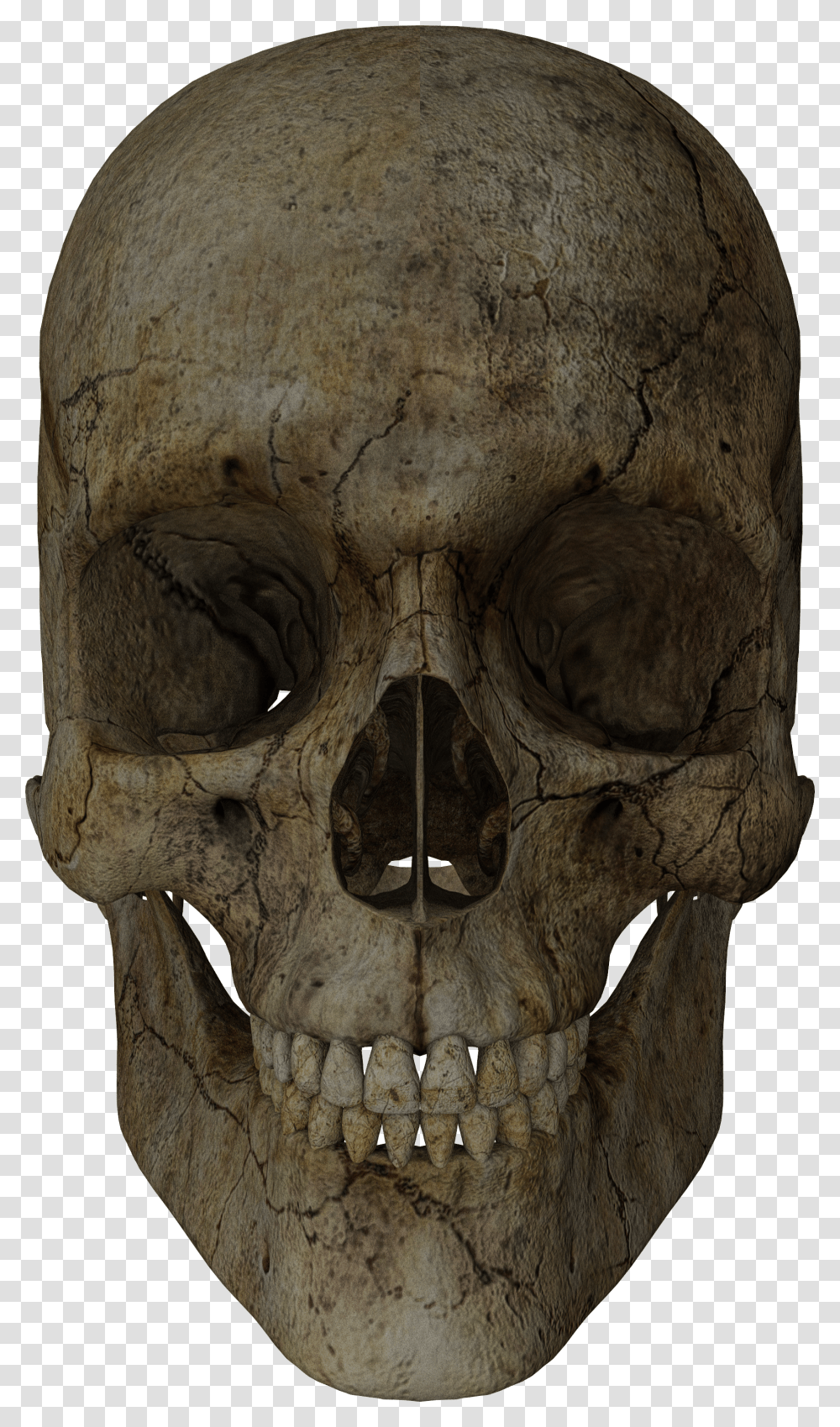 Halloween Skull Transparent Png