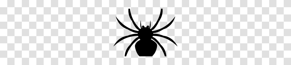Halloween Spider Clip Art Halloween Spider Web Clipart Clipart, Gray, World Of Warcraft Transparent Png