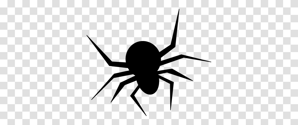 Halloween Spider Clipart, Animal, Invertebrate, Arachnid, Bow Transparent Png