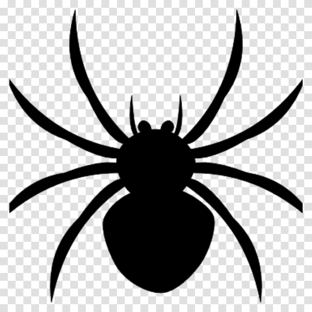 Halloween Spider Clipart, Gray, World Of Warcraft Transparent Png