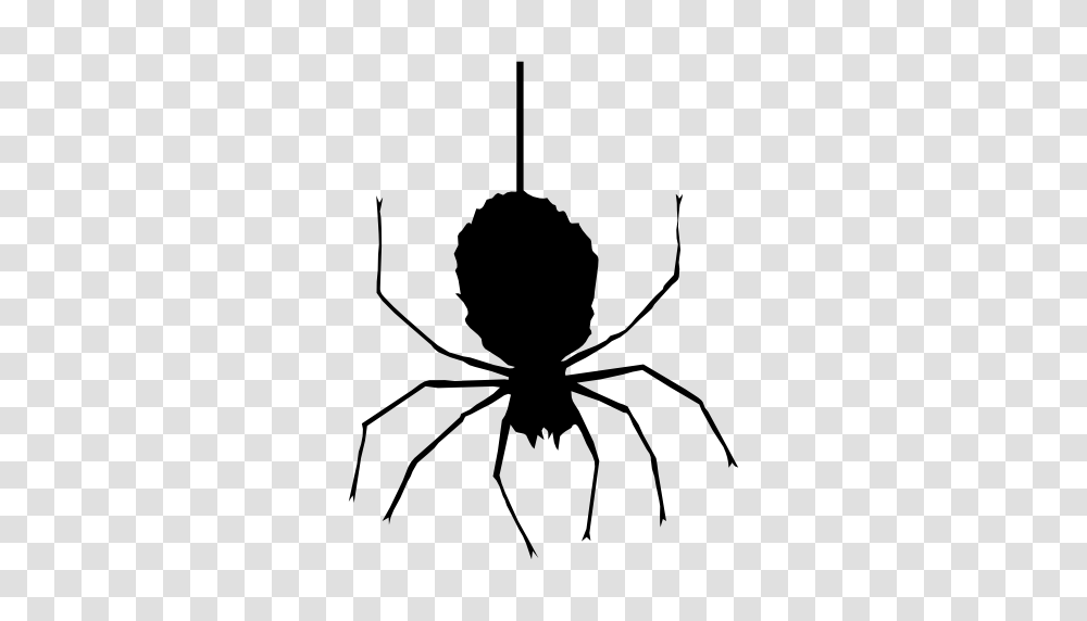 Halloween Spider Clipart, Silhouette, Animal, Invertebrate, Black Widow Transparent Png
