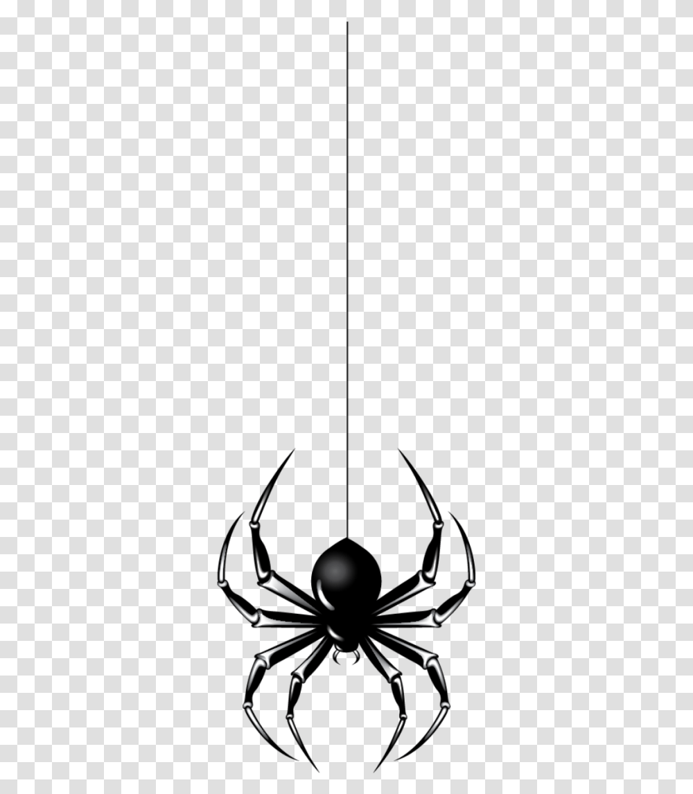 Halloween Spider, Flare, Light, Outdoors Transparent Png