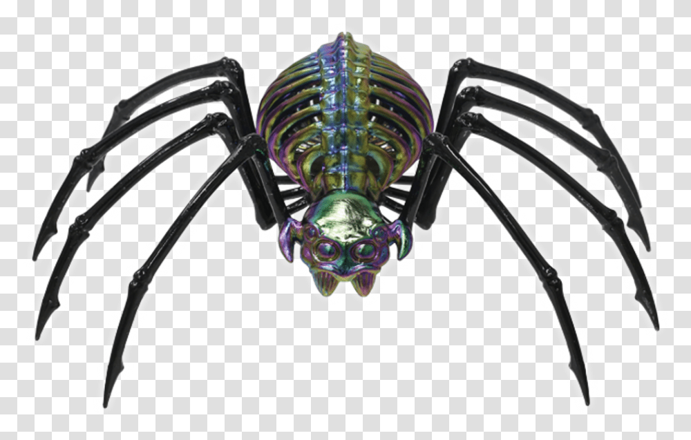 Halloween Spider Skeleton Spider, Animal, Invertebrate, Insect, Bicycle Transparent Png