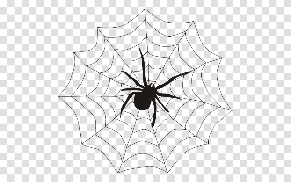 Halloween Spider Web Clipart Spider On A Web Transparent Png