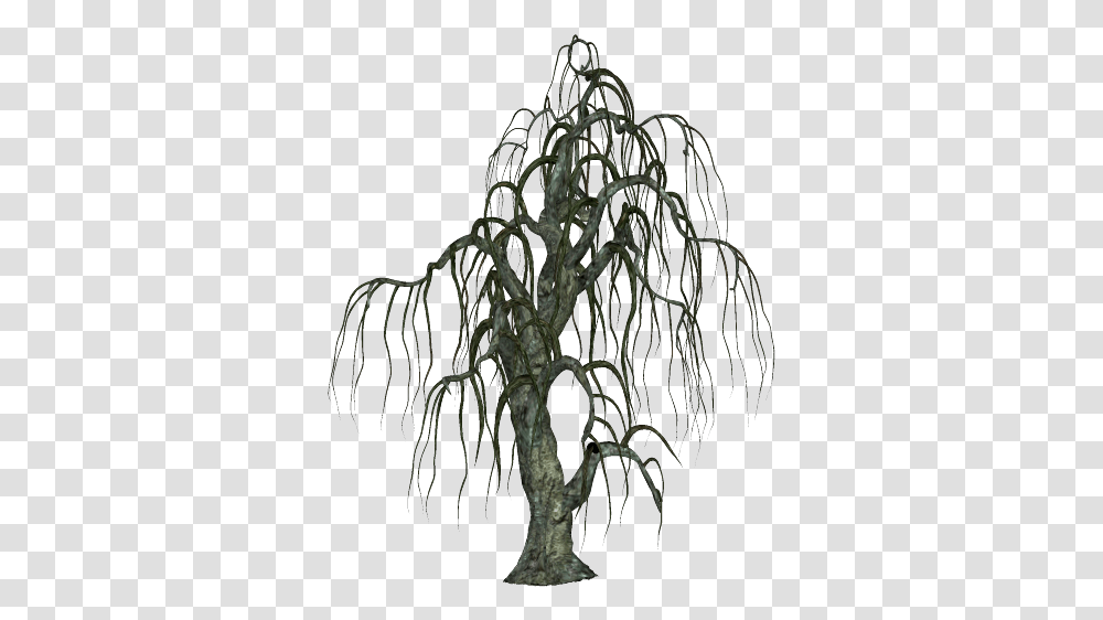 Halloween Spooky Tree 02 Halloween Spooky Trees, Plant, Tree Trunk, Conifer, Root Transparent Png