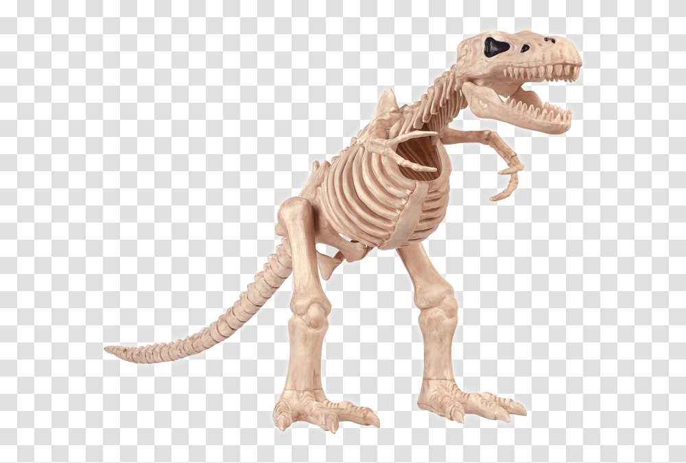 Halloween T Rex Skeleton, Dinosaur, Reptile, Animal, T-Rex Transparent Png