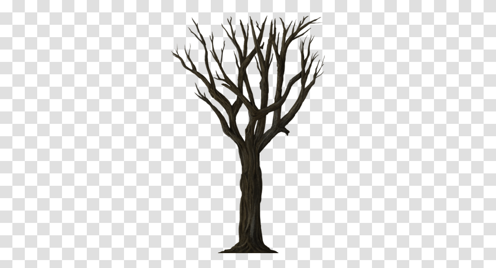 Halloween Trees Picture 676919 Wallpaper, Plant, Tree Trunk, Silhouette Transparent Png