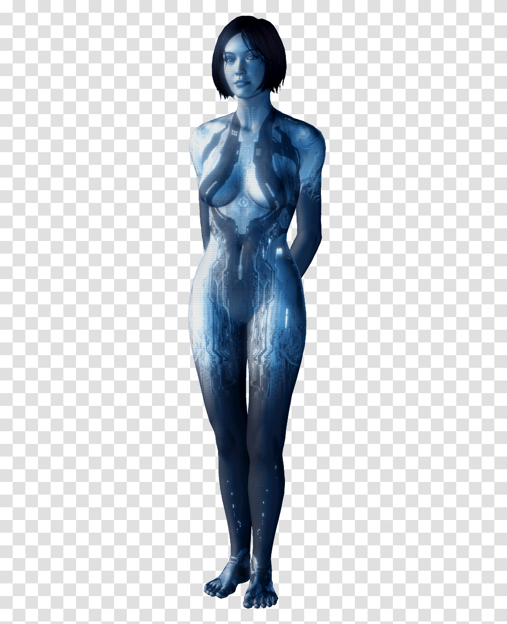 Halo, Person, Human, X-Ray, Ct Scan Transparent Png