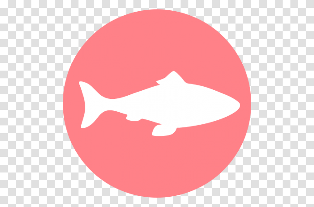 Halo Uses Only Real Whole Meat Poultry Or Fish And Fish Meat Amp Poultry Icon, Baseball Cap, Hat, Apparel Transparent Png