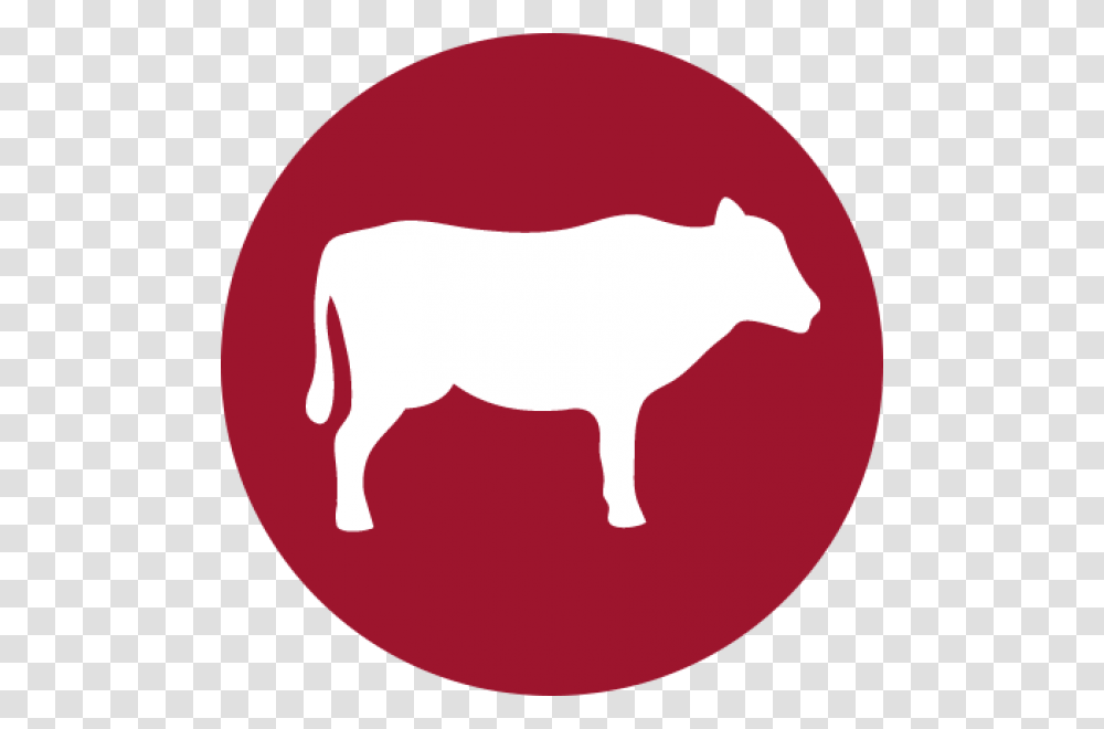 Halo Uses Only Real Whole Meat Poultry Or Fish And No Red Meat Icon, Mammal, Animal, Cattle, Bull Transparent Png