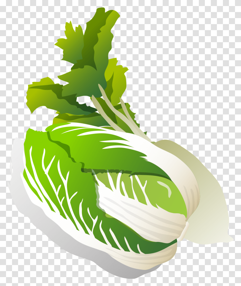 Hamantaschen Clipart Nabo En Hoja, Plant, Vegetable, Food, Cabbage Transparent Png