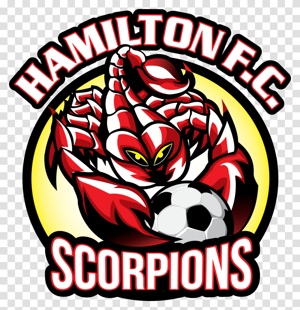 Hamilton Scorpions, Alphabet, Leisure Activities Transparent Png