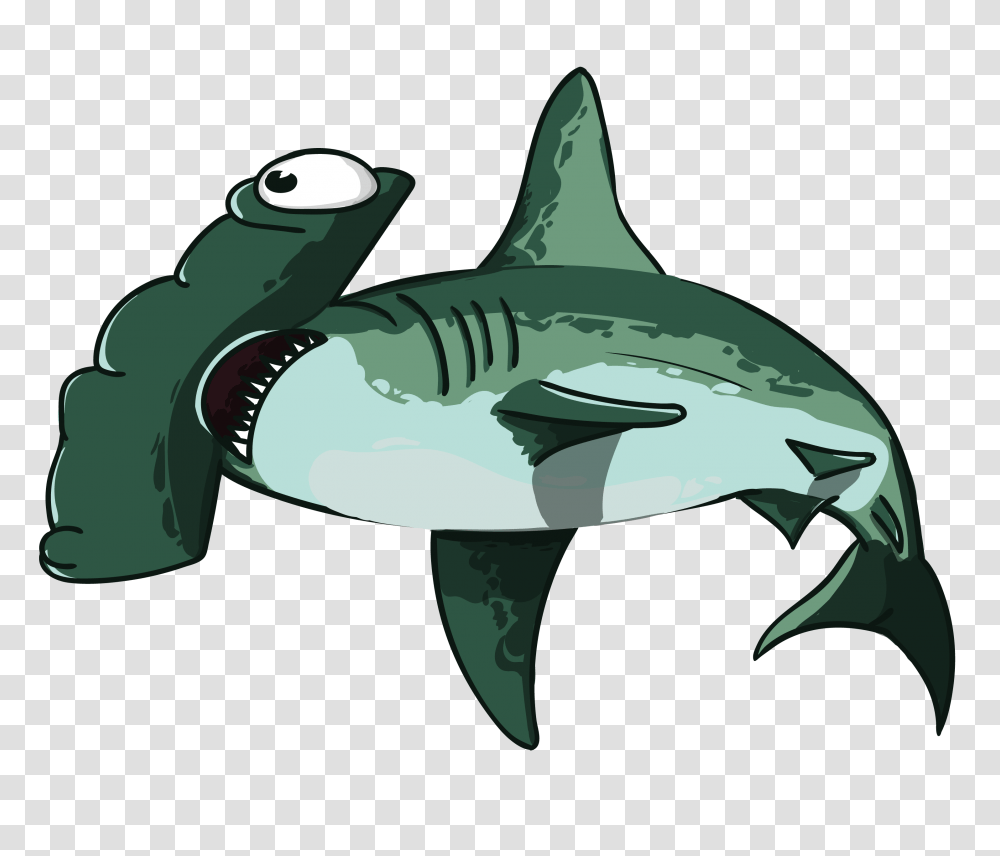 Hammer Head Fish Free Vectors For Download, Shark, Sea Life, Animal, Great White Shark Transparent Png