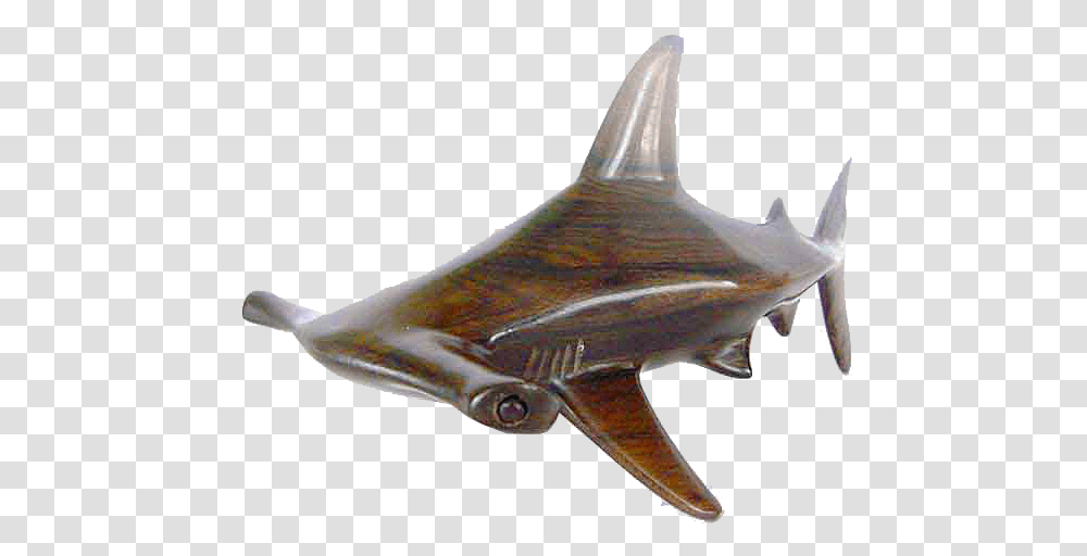 Hammer Shark M Hammer Shark, Sea Life, Animal, Fish, Manta Ray Transparent Png