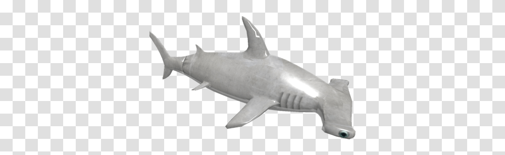 Hammerhead Roblox Shark Bite Sharks, Sea Life, Fish, Animal, Great White Shark Transparent Png