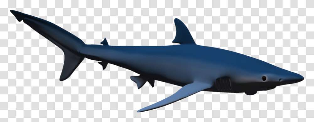 Hammerhead Shark Clip Art 3d Shark, Sea Life, Fish, Animal, Mammal Transparent Png