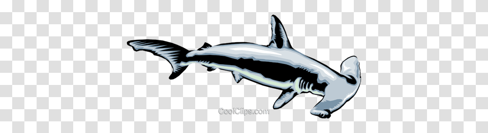 Hammerhead Shark Clipart Group With Items, Sea Life, Animal, Mammal, Fish Transparent Png