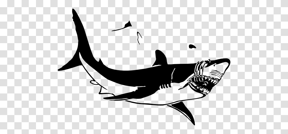 Hammerhead Shark Clipart, Sea Life, Fish, Animal, Great White Shark Transparent Png