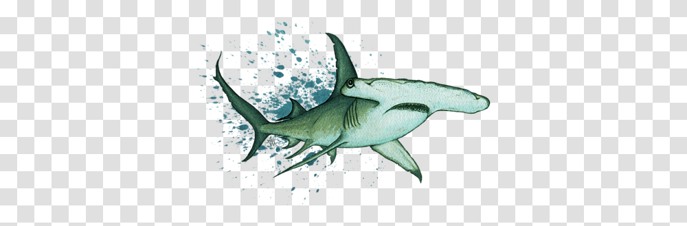 Hammerhead Shark Painting, Sea Life, Fish, Animal, Great White Shark Transparent Png