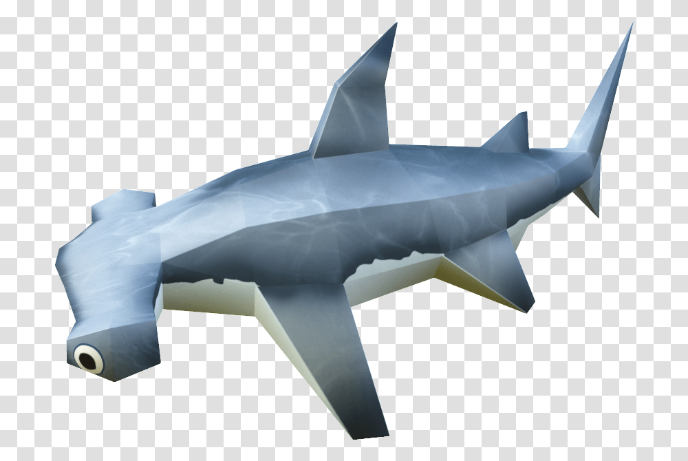 Hammerhead Shark Requiem Shark, Fish, Animal, Sea Life, Airplane Transparent Png