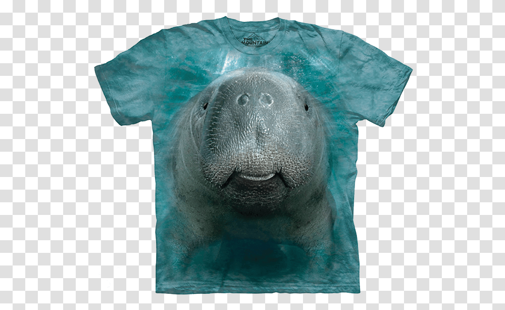 Hammerhead Shark T Shirt, Mammal, Animal, Manatee, Elephant Transparent Png