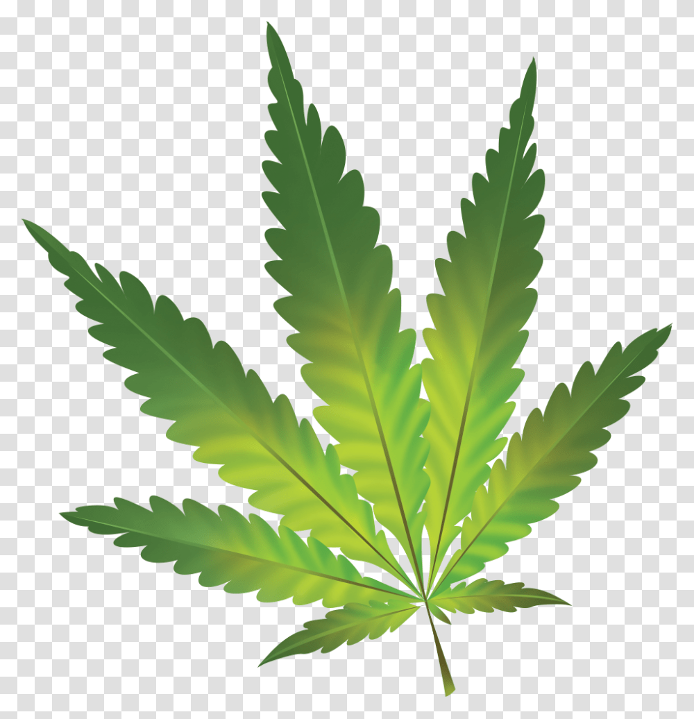 Hamp Plante Hvid Baggrund Clipart Download Cannabis Sativa, Leaf, Green, Weed, Hemp Transparent Png