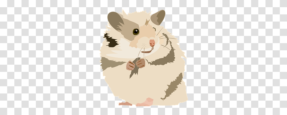 Hamster Person, Poster, Advertisement, Rodent Transparent Png