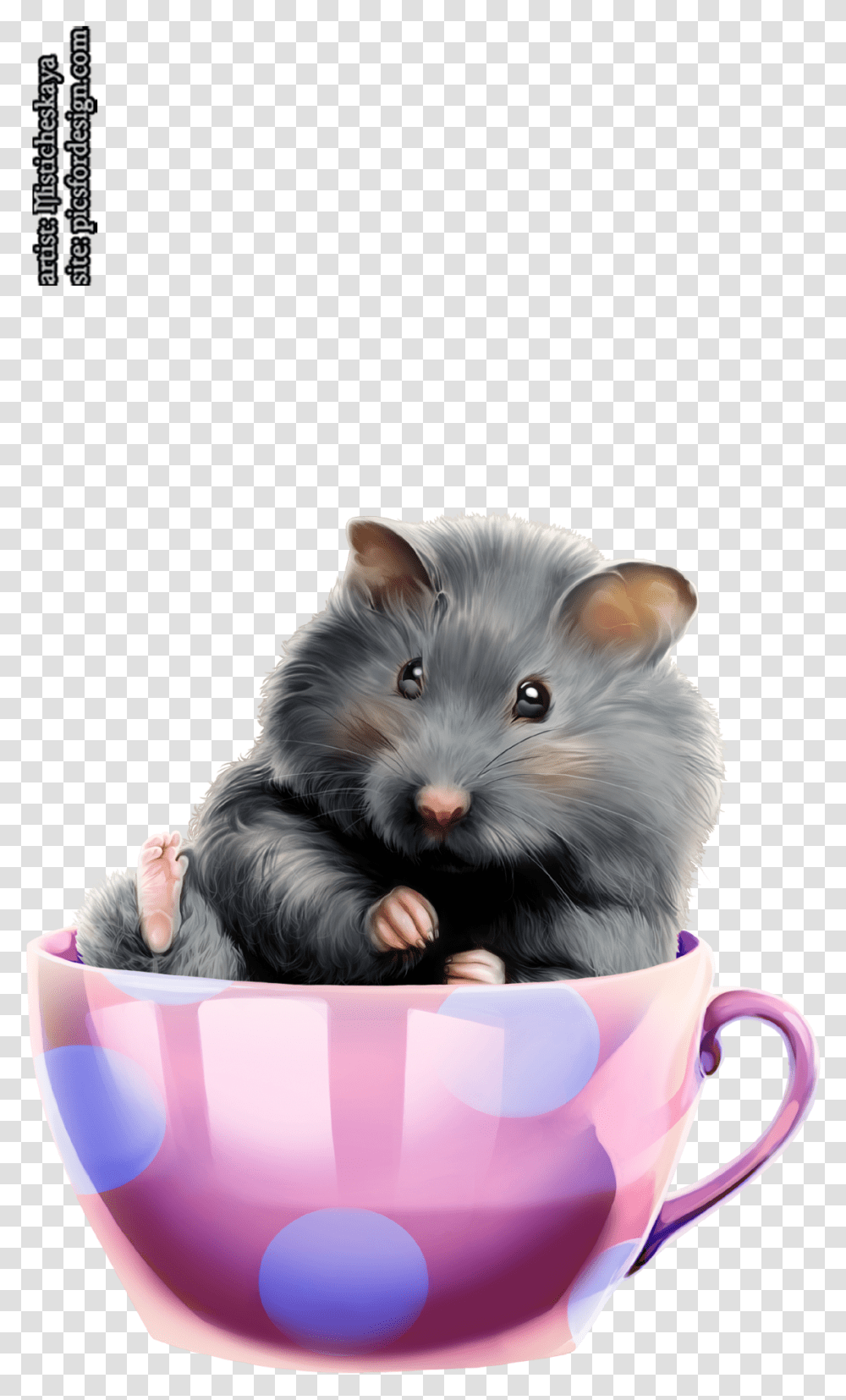 Hamster 8 - Imgbb, Pet, Animal, Mammal, Rodent Transparent Png