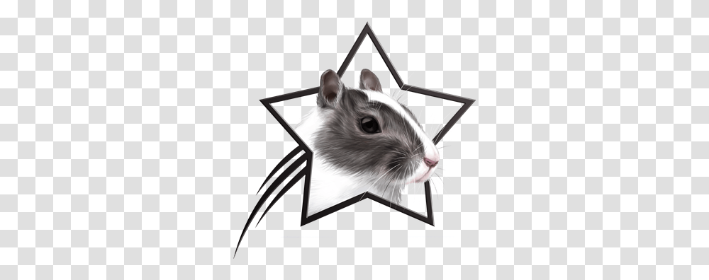 Hamster Clipart Gerbil, Rodent, Mammal, Animal, Rat Transparent Png