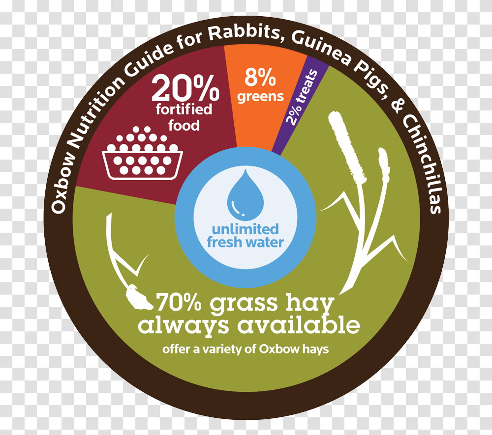 Hamster Clipart Guinea Pig Oxbow Rabbit Feeding Guide, Label, Disk, Logo Transparent Png