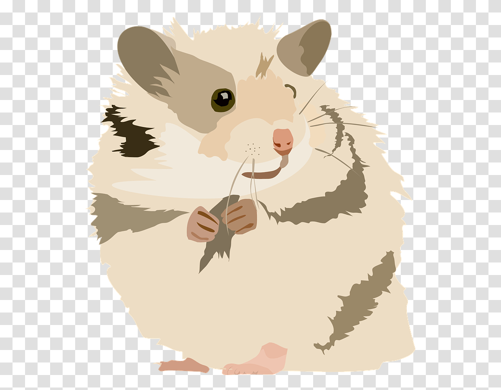Hamster Cute Sweet Animal Pet Rodent Domestic, Mammal, Poster, Advertisement Transparent Png