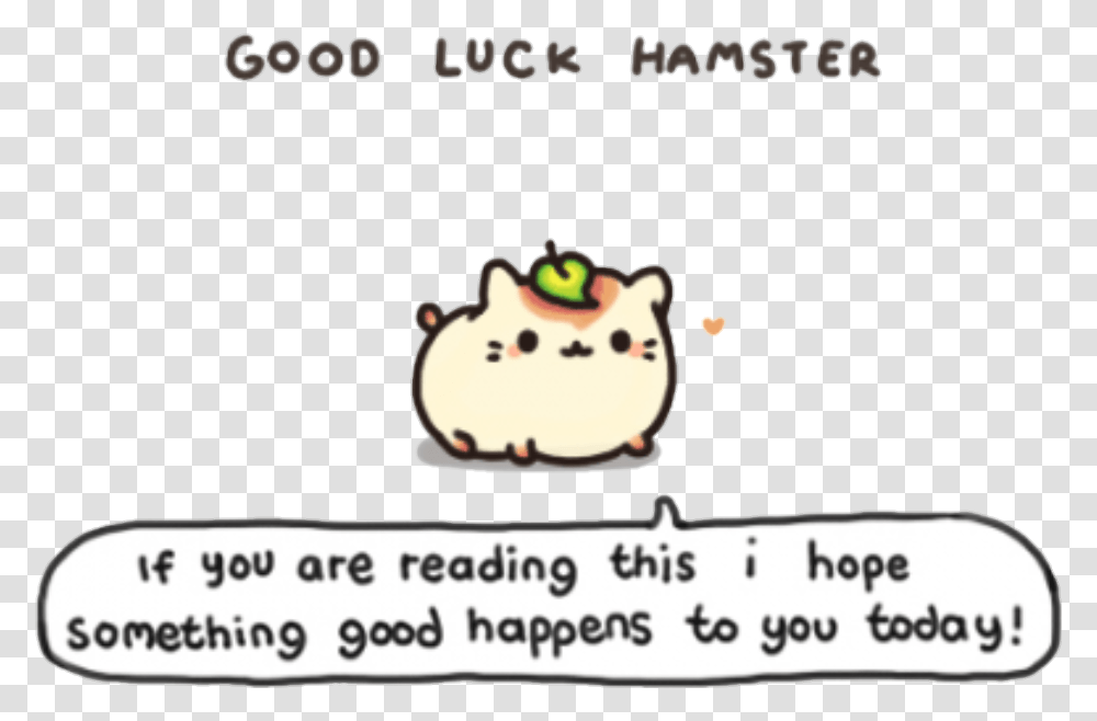 Hamster Goodluck Cute Hope Something Good Happens To You Today, Mammal, Animal, Wildlife Transparent Png