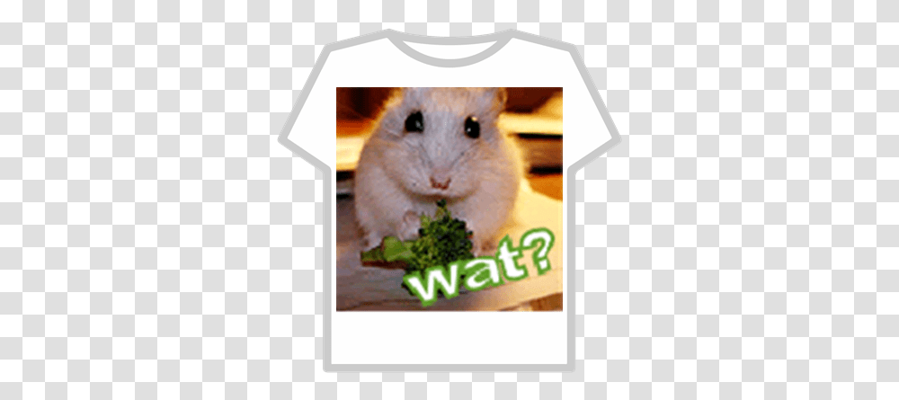 Hamster Roblox Spider Man Infinity War T Shirt, Plant, Broccoli, Vegetable, Food Transparent Png