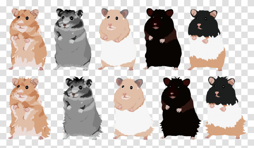 Hamster, Rodent, Mammal, Animal, Beaver Transparent Png