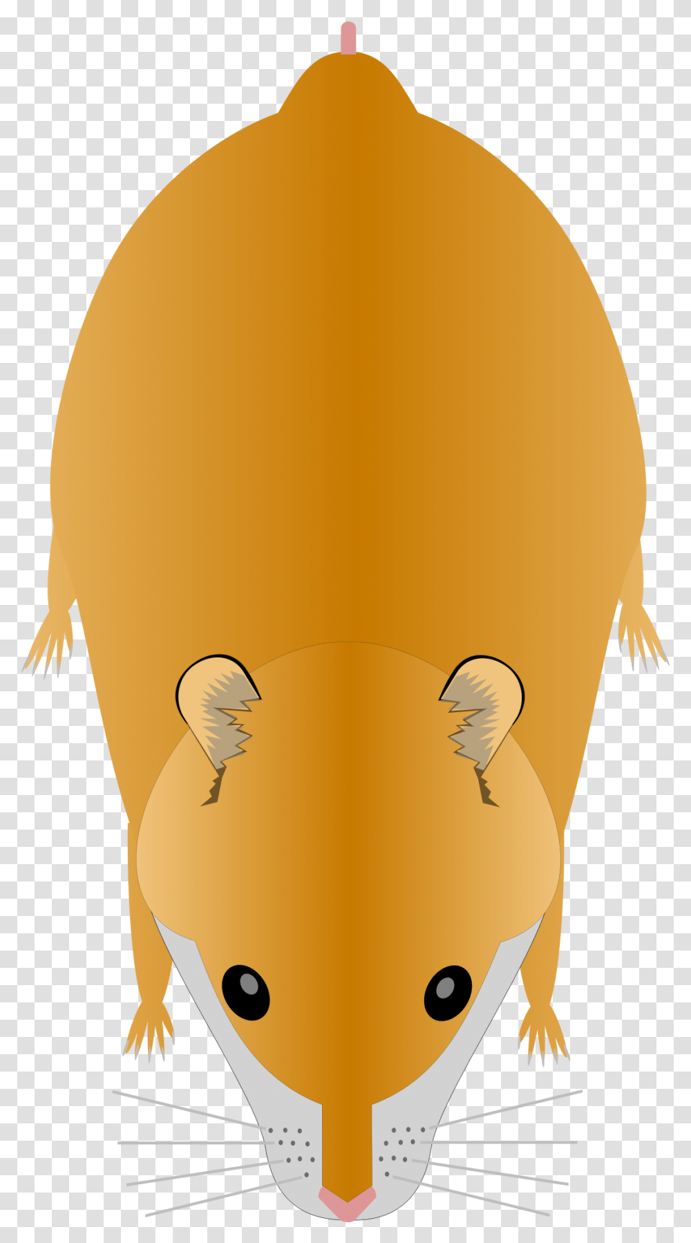 Hamster, Wildlife, Animal, Mammal, Balloon Transparent Png