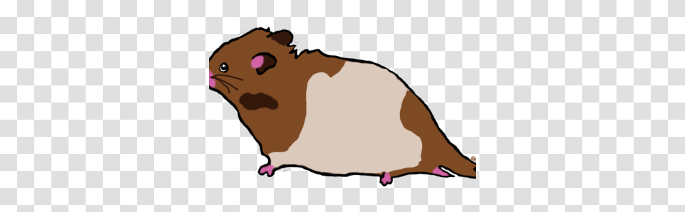 Hamsters Animalwhoop, Mammal, Person, Cattle, Bull Transparent Png