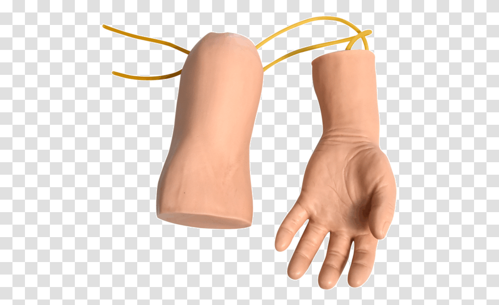 Hand And Elbow Combined Intravenous Transfusion Training, Person, Human, Weapon, Weaponry Transparent Png