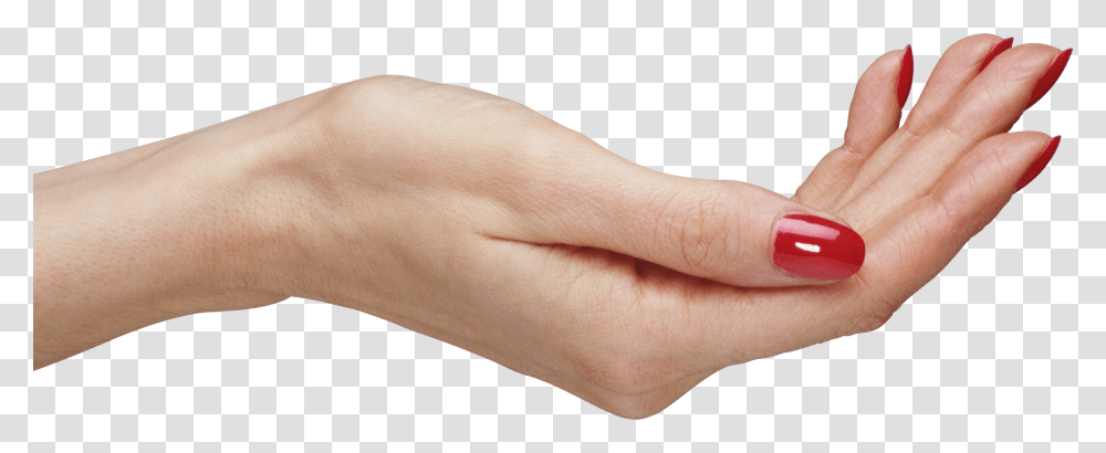 Hand Background, Wrist, Person, Human, Skin Transparent Png