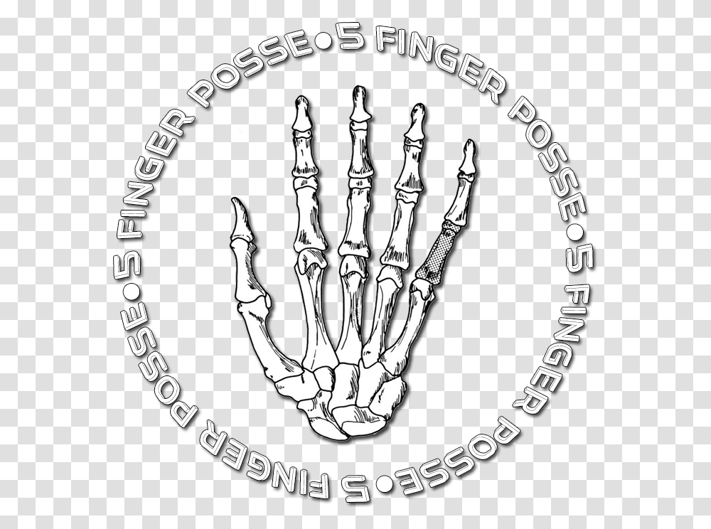 Hand Bones, Emblem, X-Ray, Medical Imaging X-Ray Film Transparent Png