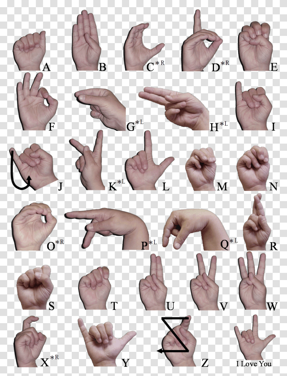 Hand Click, Finger, Person, Human, Wrist Transparent Png