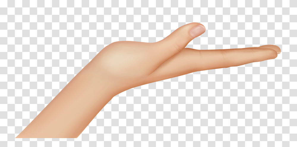 Hand Clipart, Wrist, Person, Arm, Skin Transparent Png
